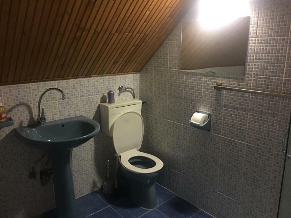 Bago Pince Daire Hajos Dış mekan fotoğraf